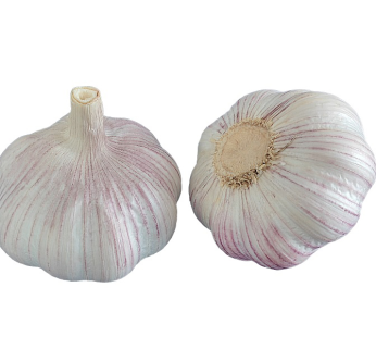 Normal White Garlic